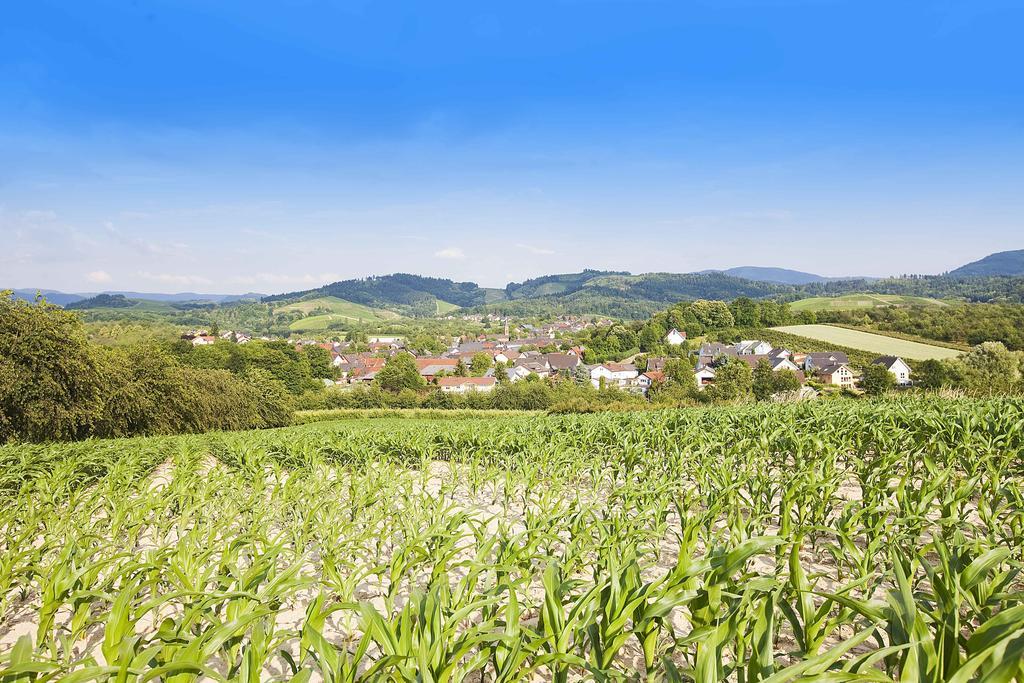 Hotel Gasthof Engel Appenweier Exteriér fotografie